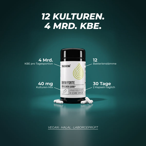 12 Kulturen mit 4 Milliarden KBE pro Tagesportion: 40 mg Kulturen-Mix aus 12 Bakterienstämmen, 2 Kapseln täglich, eine Dose reicht 30 Tage