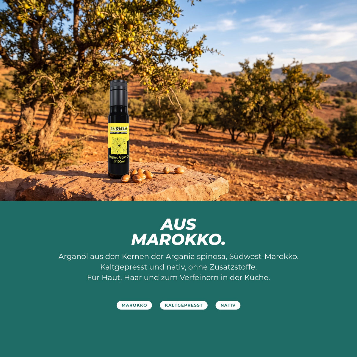 Arganbäume in Südwest-Marokko, die Flasche auf einem Felsen – Arganöl aus den Kernen der Argania spinosa, kaltgepresst und nativ