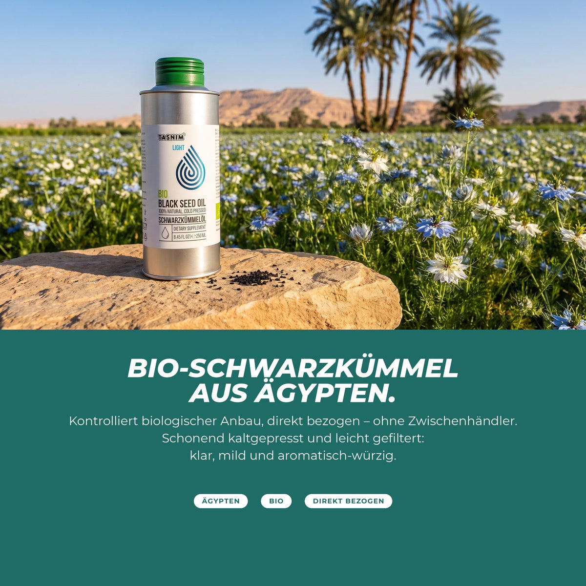 Bio-Schwarzkümmel aus Ägypten: kontrolliert biologischer Anbau, direkt bezogen, kaltgepresst und leicht gefiltert