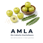 Amla, die indische Stachelbeere – Stillleben mit frischen Amla-Früchten, Blättern und Sesamsamen auf weißem Hintergrund