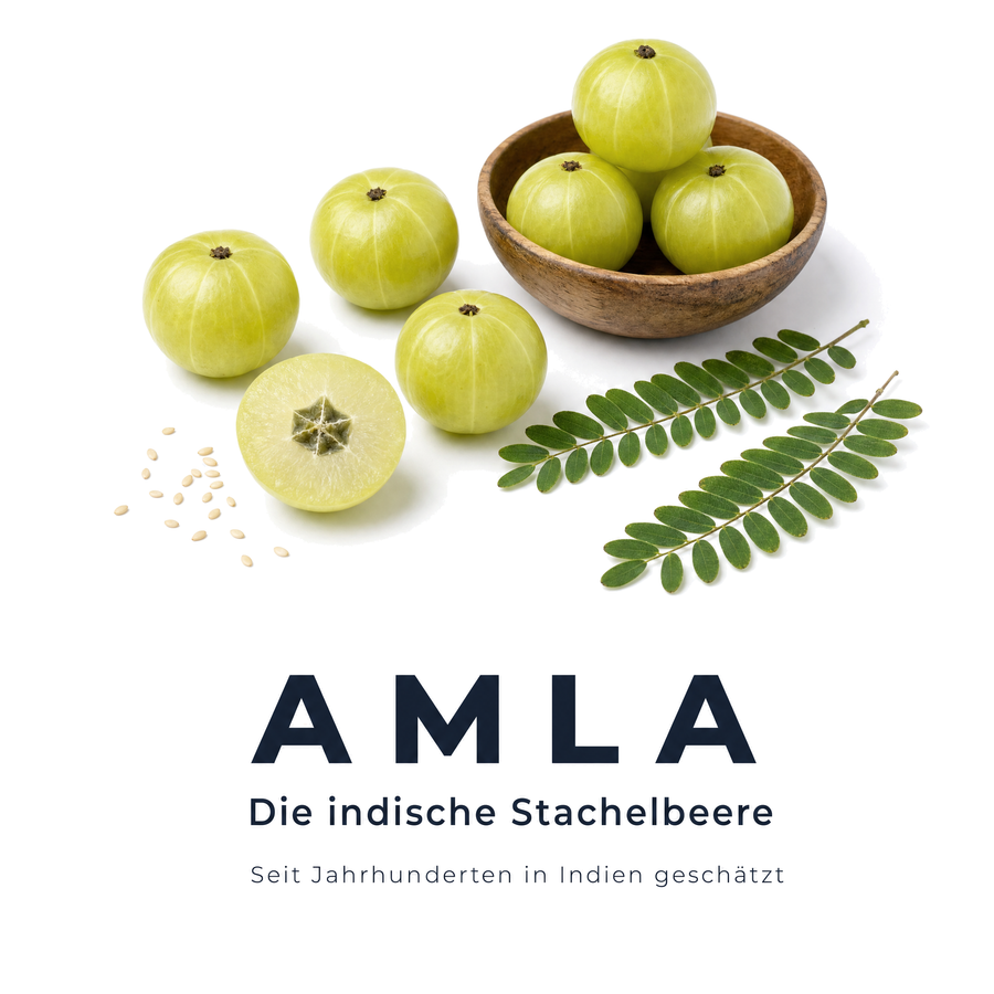 Amla, die indische Stachelbeere – Stillleben mit frischen Amla-Früchten, Blättern und Sesamsamen auf weißem Hintergrund