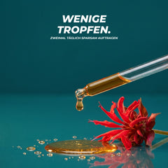 Ein goldener Tropfen fällt aus der Pipette neben einer roten Goldmelissen-Blüte – zweimal täglich sparsam auftragen