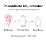 Grafik zur überkritischen CO₂-Extraktion aus der Goldmelisse: ohne Lösungsmittel, ohne Hitze