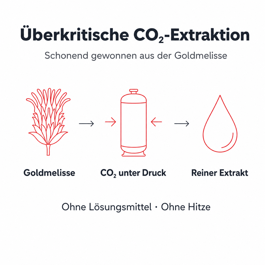 Grafik zur überkritischen CO₂-Extraktion aus der Goldmelisse: ohne Lösungsmittel, ohne Hitze
