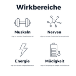 Wirkbereiche von Magnesium: normale Muskelfunktion, normale Funktion des Nervensystems, normaler Energiestoffwechsel und Verringerung von Müdigkeit und Ermüdung