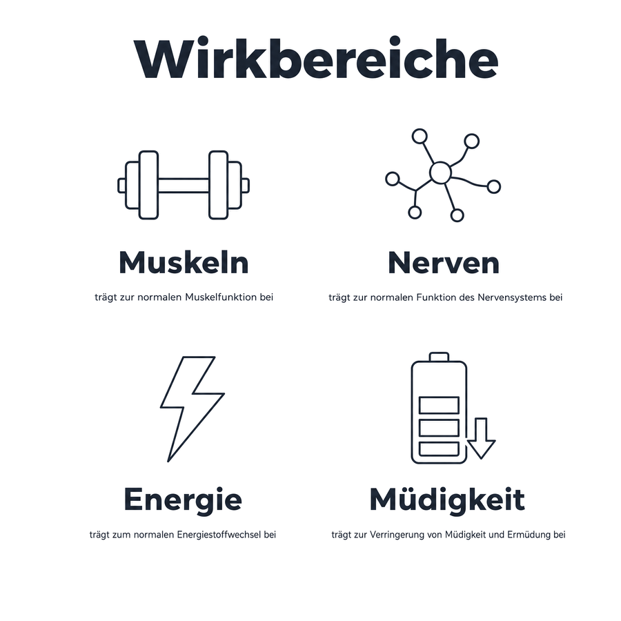 Wirkbereiche von Magnesium: normale Muskelfunktion, normale Funktion des Nervensystems, normaler Energiestoffwechsel und Verringerung von Müdigkeit und Ermüdung