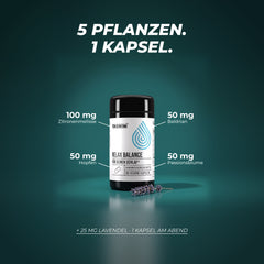 5 Pflanzen in einer Kapsel: 100 mg Zitronenmelisse, je 50 mg Baldrian, Hopfen und Passionsblume sowie 25 mg Lavendel – 1 Kapsel am Abend