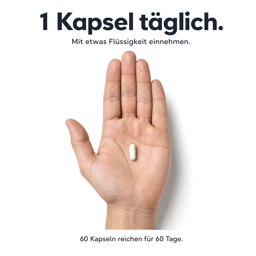 Offene Hand mit einer einzelnen Relax Balance Kapsel – 1 Kapsel täglich mit etwas Flüssigkeit einnehmen, 60 Kapseln reichen für 60 Tage