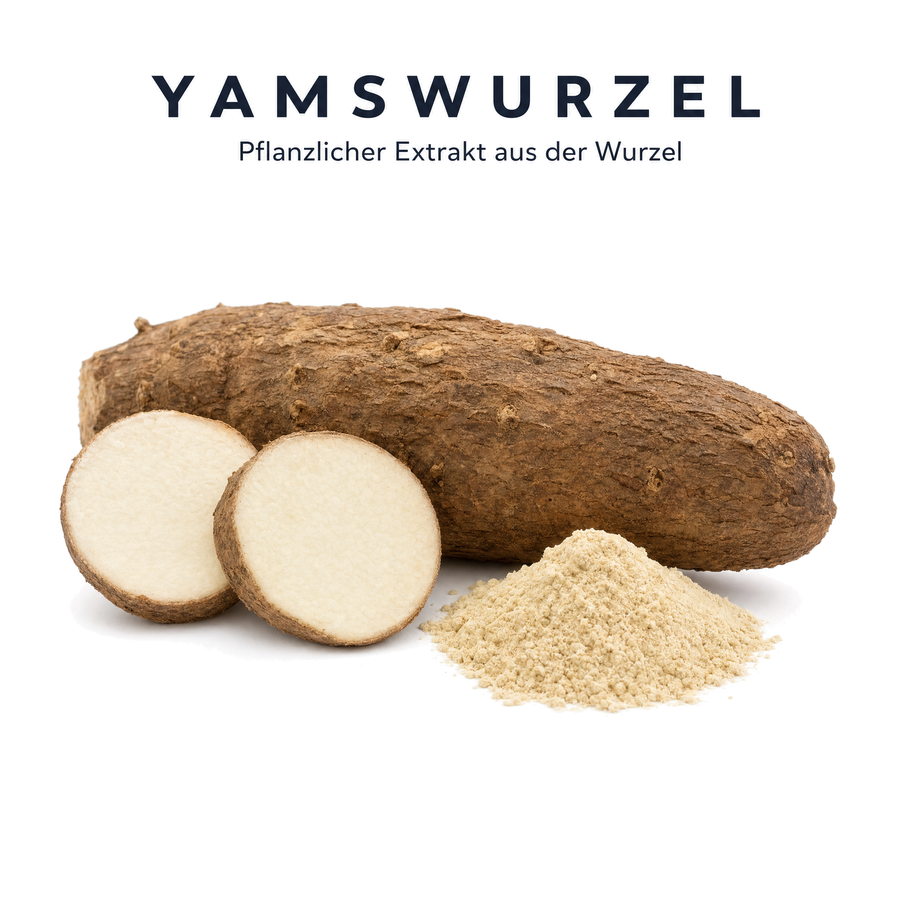 Rohstoff Yamswurzel: ganze Wurzel, Wurzelscheiben und Wurzelpulver als pflanzlicher Extrakt für Femi-Step Balance