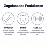 Liniengrafik mit drei Symbolen für Knochen, Zähne und Muskeln: Calcium trägt zur Erhaltung normaler Knochen und Zähne sowie zu einer normalen Muskelfunktion bei