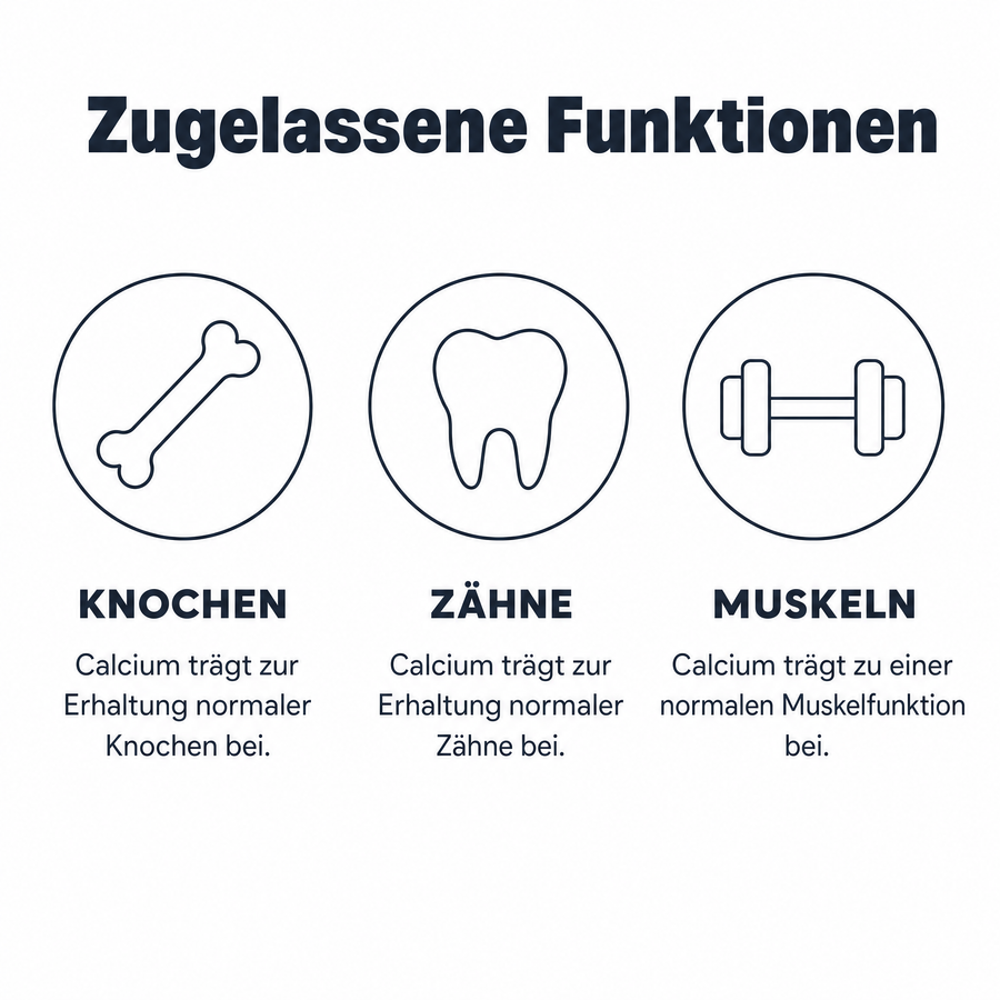 Liniengrafik mit drei Symbolen für Knochen, Zähne und Muskeln: Calcium trägt zur Erhaltung normaler Knochen und Zähne sowie zu einer normalen Muskelfunktion bei