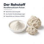 Rohstoff Korallencalcium-Pulver in einer weißen Schale neben porösem Korallengestein, natürliche Calciumquelle aus fossilen Korallenablagerungen, Kapselhülle aus Cellulose HPMC