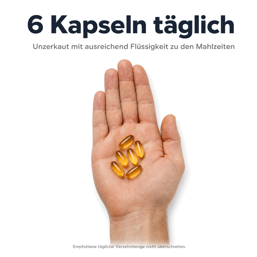 Einnahme: 6 Kapseln täglich, unzerkaut mit ausreichend Flüssigkeit zu den Mahlzeiten – sechs Omega-3-Kapseln in einer offenen Hand