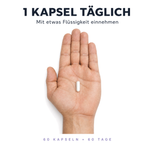 Einnahme Tasnim OPC: 1 Kapsel täglich mit etwas Flüssigkeit einnehmen, 60 Kapseln reichen für 60 Tage