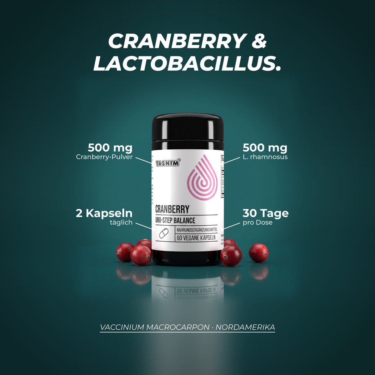 Cranberry und Lactobacillus: 500 mg Cranberry-Pulver und 500 mg Lactobacillus rhamnosus pro Tagesportion aus 2 Kapseln, eine Dose reicht 30 Tage
