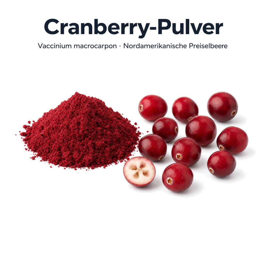 Rohstoff Cranberry-Pulver aus Vaccinium macrocarpon, nordamerikanische Preiselbeere, mit frischen Cranberries