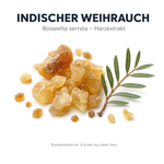 Rohstoff Indischer Weihrauch: Harzstücke von Boswellia serrata als Grundlage des standardisierten Harzextrakts
