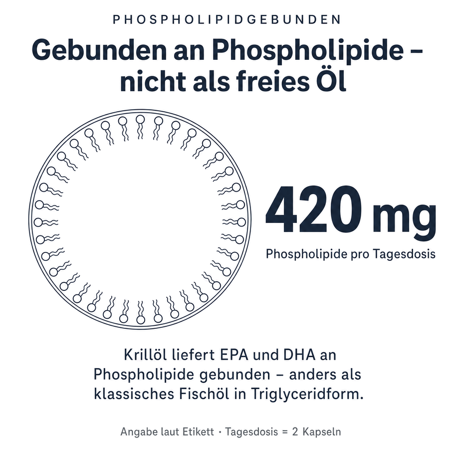 420 mg Phospholipide pro Tagesdosis: Krillöl liefert EPA und DHA an Phospholipide gebunden, anders als klassisches Fischöl in Triglyceridform