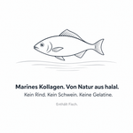 Marines Kollagen aus Fisch: von Natur aus halal, kein Rind, kein Schwein, keine Gelatine. Enthält Fisch.