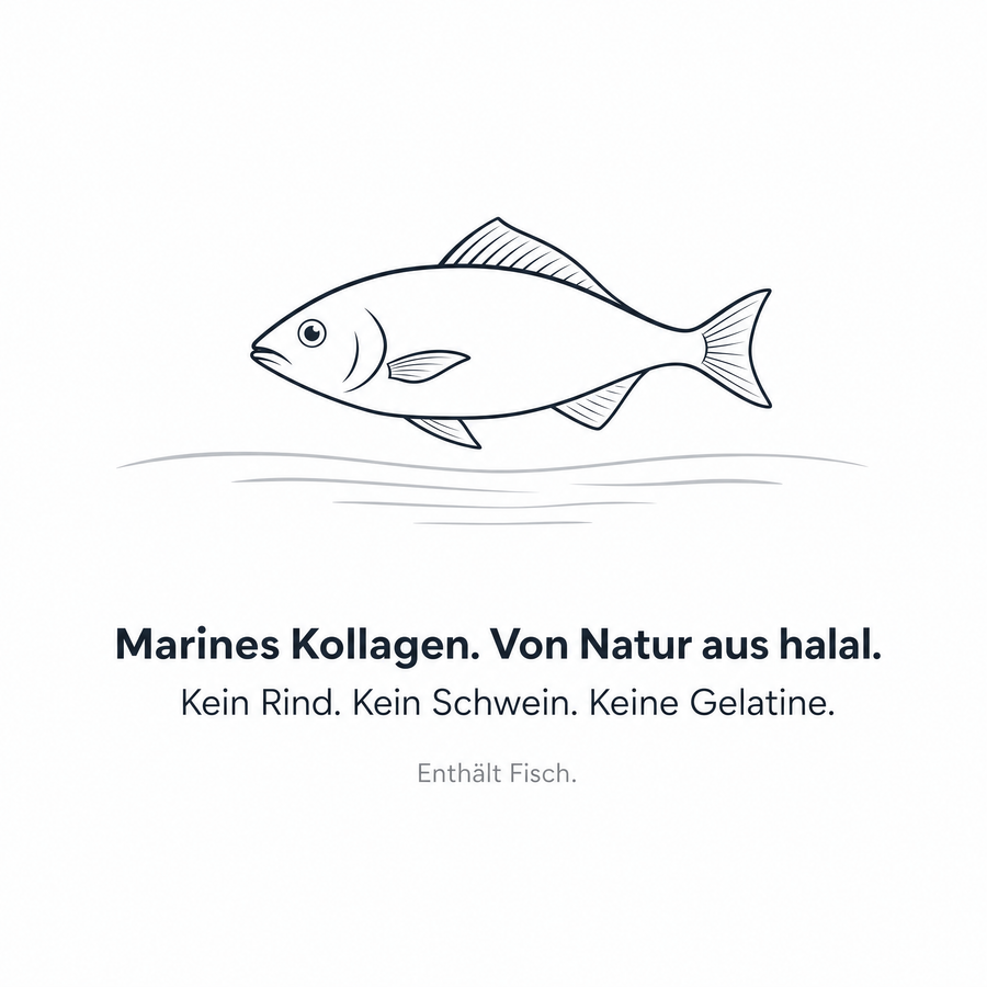 Marines Kollagen aus Fisch: von Natur aus halal, kein Rind, kein Schwein, keine Gelatine. Enthält Fisch.