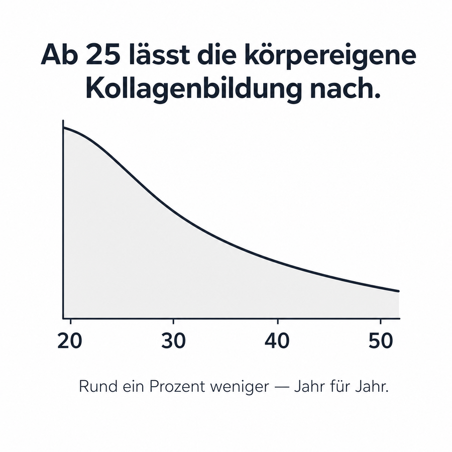 Grafik: Ab etwa 25 Jahren lässt die körpereigene Kollagenbildung nach, rund ein Prozent pro Jahr