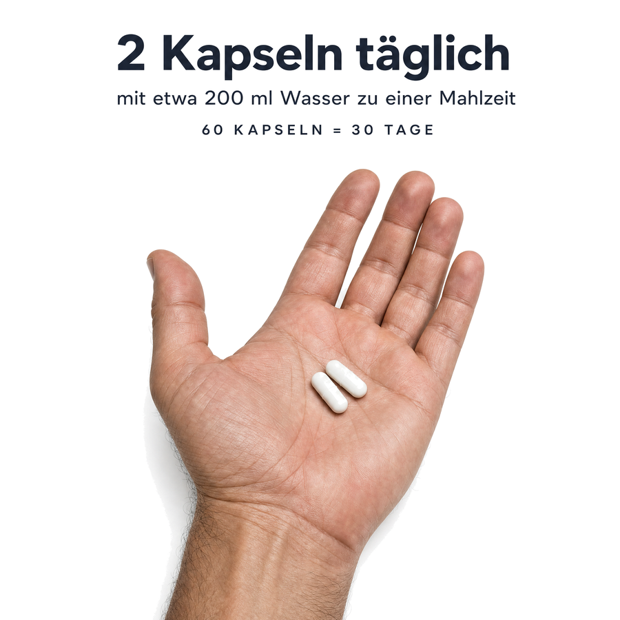Einnahme der Tasnim Maca Kapseln: täglich 2 Kapseln mit etwa 200 ml Wasser zu einer Mahlzeit, 60 Kapseln reichen für 30 Tage