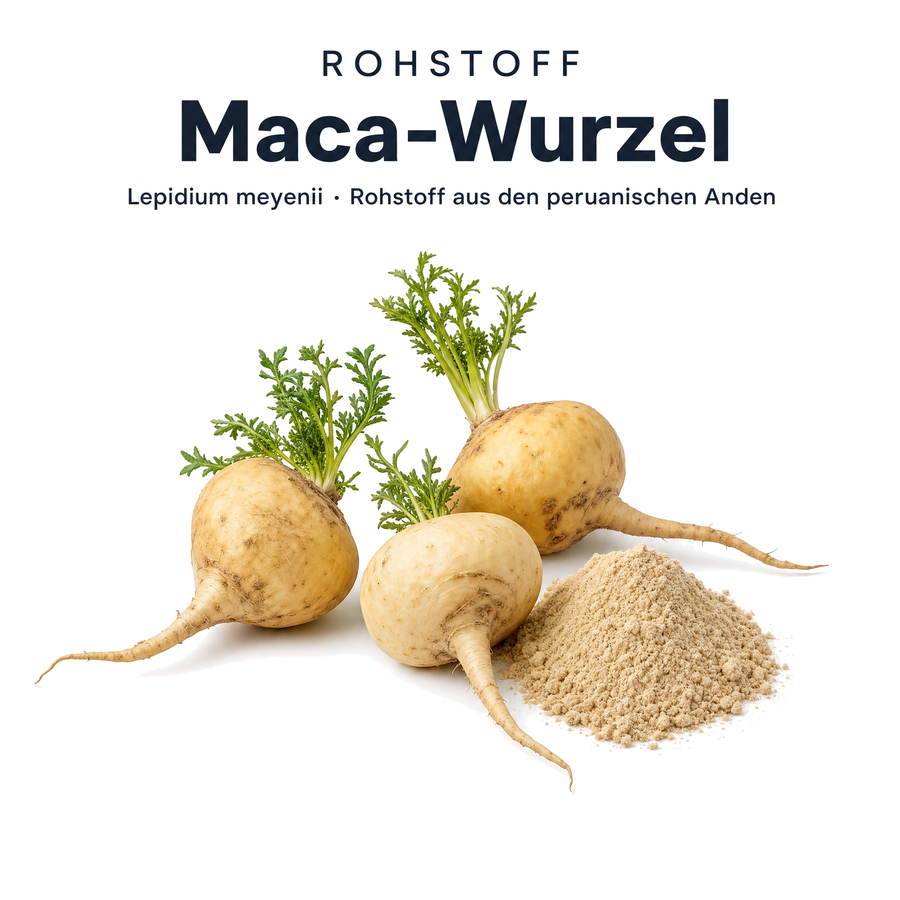 Rohstoff der Tasnim Maca Kapseln: Maca-Wurzel Lepidium meyenii und Maca-Wurzelpulver aus den peruanischen Anden