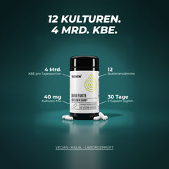 12 Kulturen mit 4 Milliarden KBE pro Tagesportion: 40 mg Kulturen-Mix aus 12 Bakterienstämmen, 2 Kapseln täglich, eine Dose reicht 30 Tage