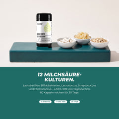 12 Milchsäurekulturen: Dose mit Kapseln – Lactobacillen, Bifidobakterien und weitere Stämme, 4 Milliarden KBE pro Tagesportion