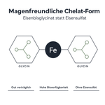 Grafik zur magenfreundlichen Chelat-Form: Eisenbisglycinat statt Eisensulfat, Eisen-Atom an zwei Glycin-Moleküle gebunden, gut verträglich und hohe Bioverfügbarkeit