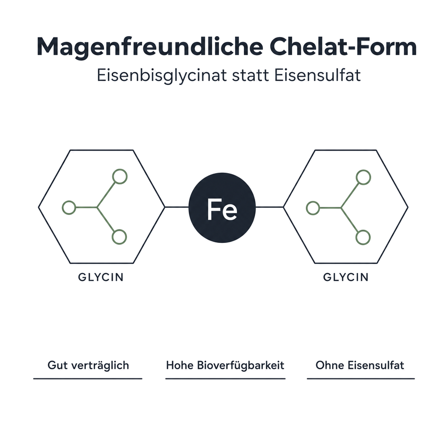 Grafik zur magenfreundlichen Chelat-Form: Eisenbisglycinat statt Eisensulfat, Eisen-Atom an zwei Glycin-Moleküle gebunden, gut verträglich und hohe Bioverfügbarkeit