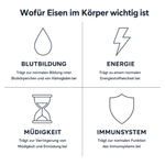 Übersicht der Wirkbereiche von Eisen: Blutbildung, Energiestoffwechsel, Verringerung von Müdigkeit und Ermüdung, normale Funktion des Immunsystems